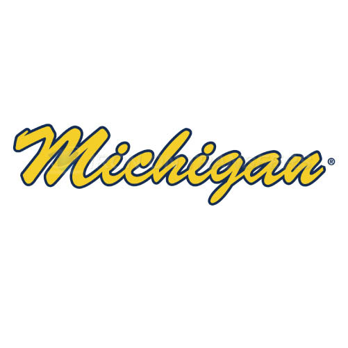 Michigan Wolverines Iron-on Stickers (Heat Transfers)NO.5072